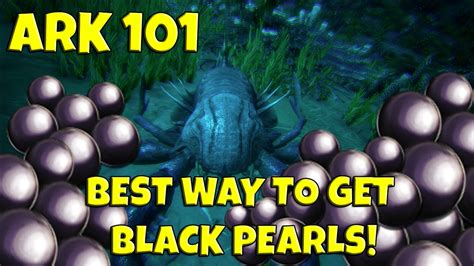 how to get black pearls on ark